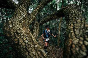 BIB: 
                            <button type="button" onclick="openModal(25393991)" class="btn btn-primary btn-sm float-right btn-popup" data-toggle="modal" data-target=".modal-high-quality">
                        <i class="fas fa-shopping-cart"></i> Add to Cart
                    </button>
                                            <button type="button" onclick="isThisMe(25393991, true)" class="btn btn-success btn-sm float-right btn-popup btn-isme hidden" data-toggle="tooltip" data-placement="bottom" title="นี่คือรูปของคุณใช่ไหม คลิกที่นี่เพื่อเอาเข้าอัลบั้ม">
                        <i class="fas fa-plus"></i> Add to album
                    </button>
                    <button type="button" onclick="isThisMe(25393991, false)" class="btn btn-warning btn-sm float-right btn-popup btn-isnotme hidden">
                        <i class="fas fa-ban"></i> Remove from album
                    </button>